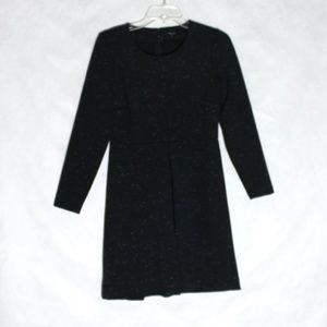 Madewell Black Long Sleeve Dress (Size: 6)